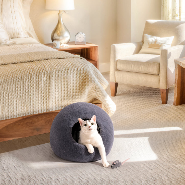 Tucker Murphy Pet™ Corwen Designer Round Cat Bed Wayfair